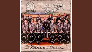 Video thumbnail of "Mariachi Internacional de Mexico de Fransisco J Jara - Un sueño de tantos"