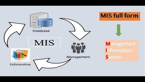 MIS Training - Advance Excel + Macro + Access + SQL | IPT Excel School