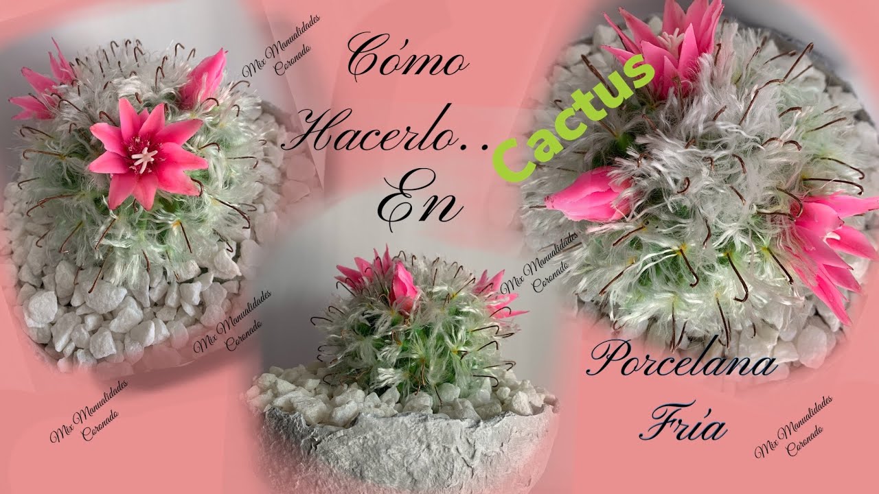 Porcelana Fría Cómo Hacer Cactus (Mammillaria Bocasana) Tutorial Paso a Paso.