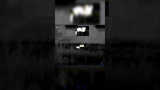 Ночная охота на кабана. Полный ролик на канале. #hunter #pulsar #pulsartrail2