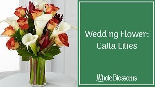 Great Ideas to Use Versatile Calla Lily Flowers to Your Wedding Decor