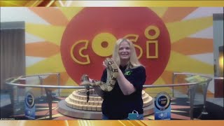 Liz McGiffin COSI Interview