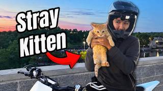 I Found a Stray Kitten While Riding my Stark Varg…