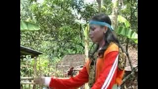 Renggong Lor. Ebeg Banyumasan 