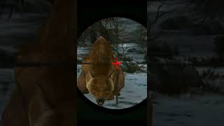 Kill Bear Wild Deer Hunting Games screenshot 4