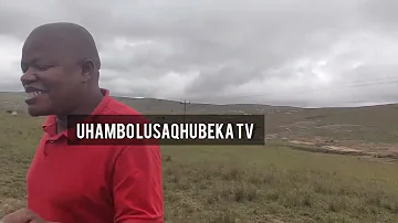 Sihle Mavuso a renowned journalist hit hard on Amaqabane kaTambo #uhambolusaqhubekatv