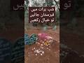 شہرِ خموشاں ایک عبرت ہے.