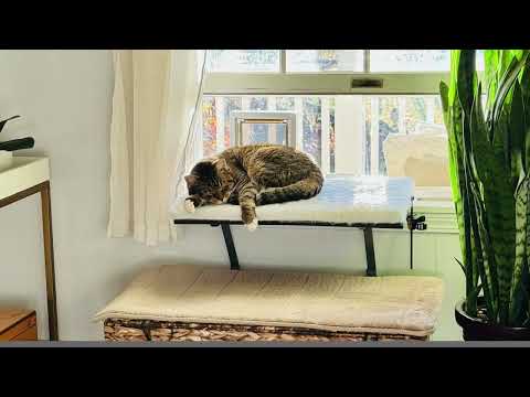 cat door window insert