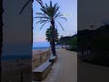 Wonderful World #shorts #beach #palm #spain #España #sea