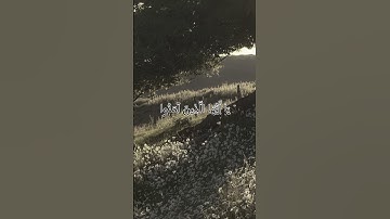 سورة الاحزاب الاية 56 القارئ : الشيخ ياسر الدوسري