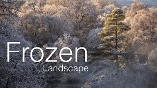 Landscape Photography in a Frozen Landscape