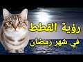 تفسير رؤية القطط في المنام في شهر رمضان
