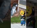 Одно желание #catsimulatoranimallife #memes #minecraft #shorts #video #fyp #актив #roblox #ai #cat