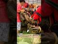 Big sale luxury bags in Tokyo (Sicchy Charity Fair 2024