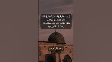 سورة آل عمران الآية ١٣٩ الى ١٤١ بصوت الشيخ محمد صديق المنشاوي