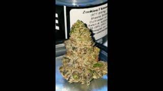 🔮😈🔥 WAKE AND BAKE WITH SOME ZOOKIES STRAIN 🔥😈🔮