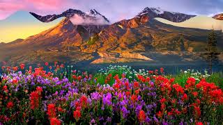 Mountains flowers (HD720p)