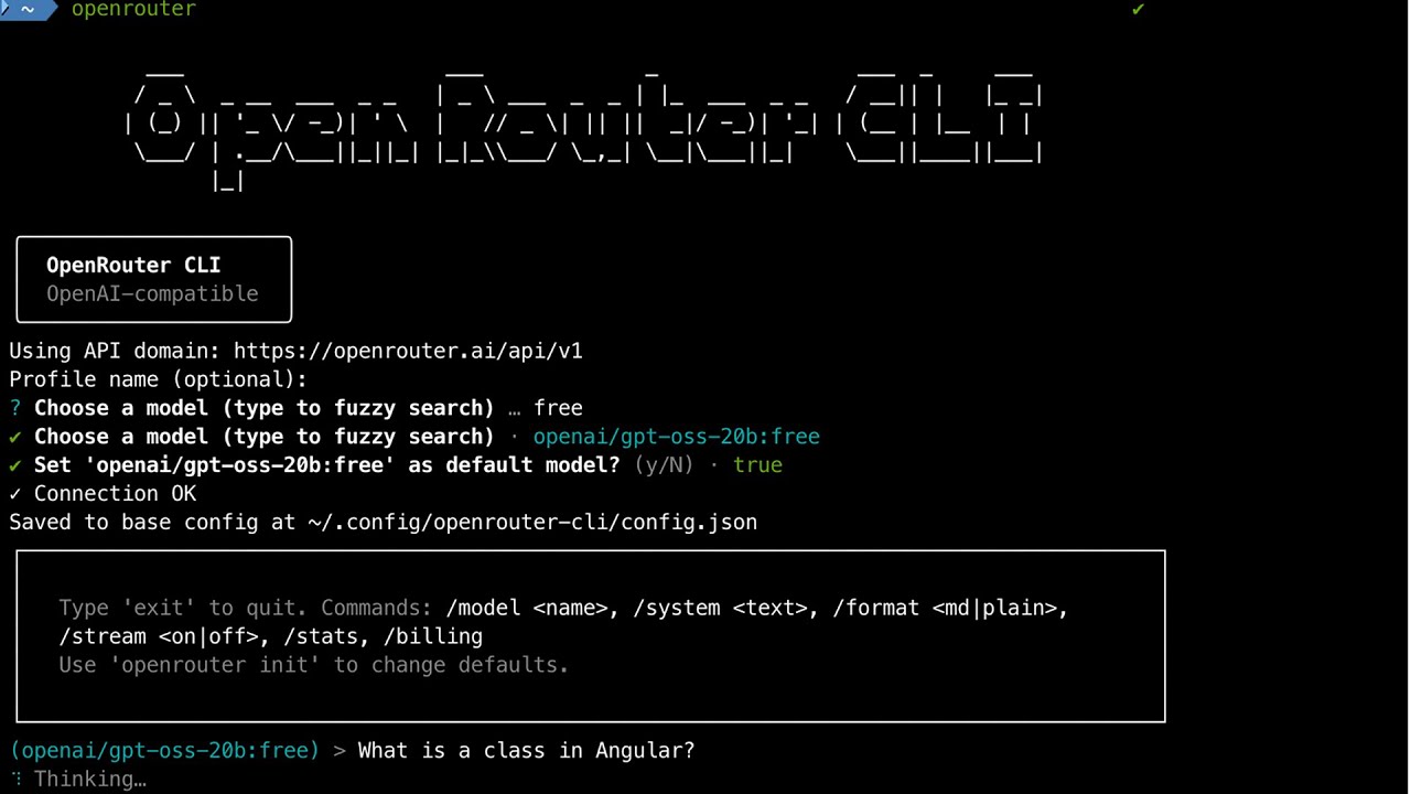 Open Router CLI - YouTube