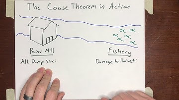 Externalities: The Coase Theorem