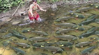 Top Videos: Survival Skills - Fishing Harvesting Many Big Fish - Survival Bushcraft