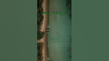 تلاوة جميلة من سورة يوسف للقارئ محمد وليد الشرعبي ❤️❤️ ❤️