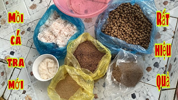 Bài Mồi Câu Cá Tra Sông Mùa Nước Nổi Thả Mồi Xuống Là Cá Ăn | Fishing - Miền Tây