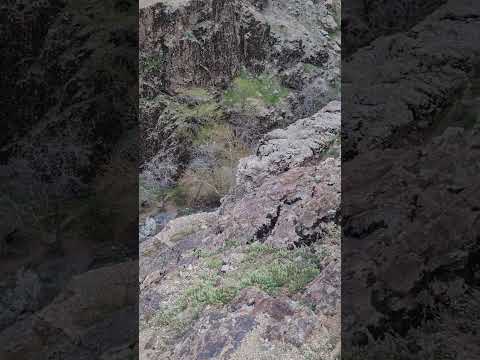 صدای پای آب فروردین ۱۴۰۴ دره اوسون تهران