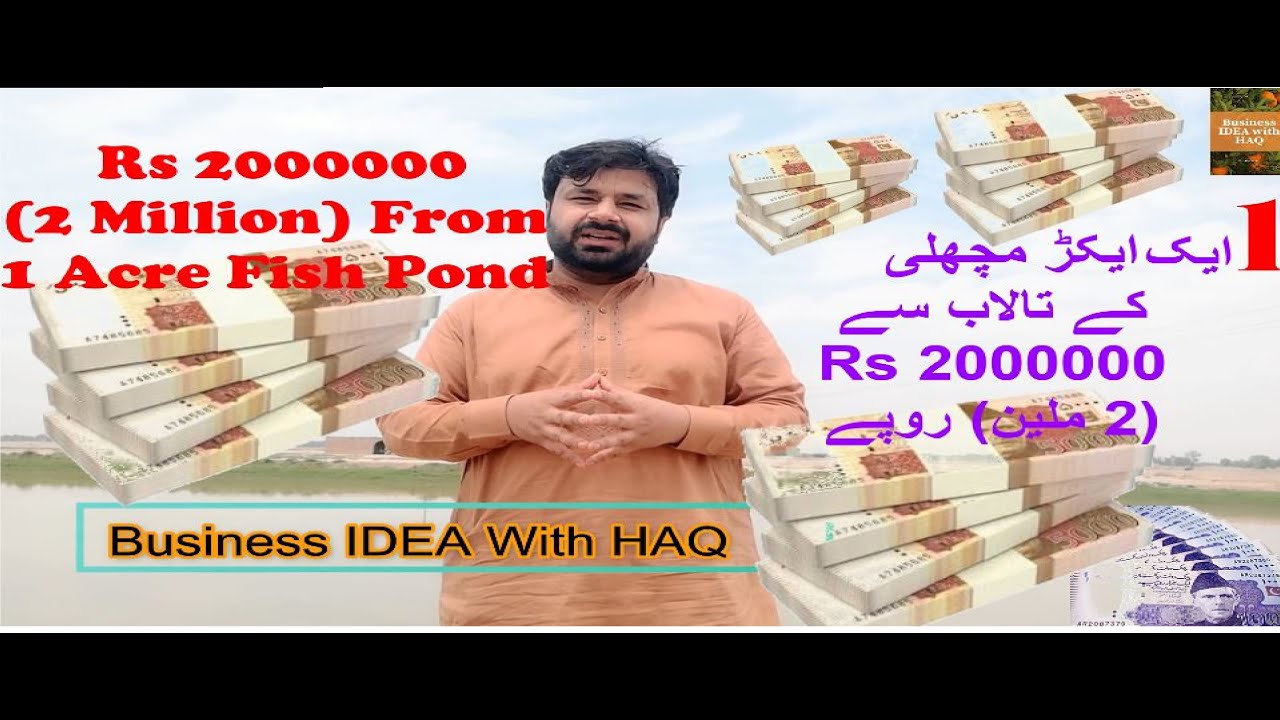 Rs 2000000 (2 Million) From 1 Acre Fish Pond Simple highly Profitable