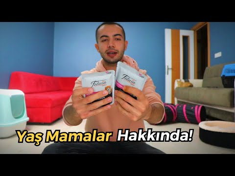 Video: Köpeklerde İshal Nasıl Durdurulur?