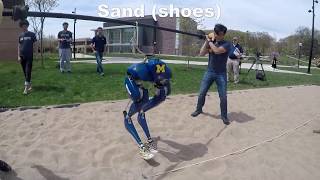 Feedback Control of a Cassie Bipedal Robot: Walking, Standing, and Riding a Segway