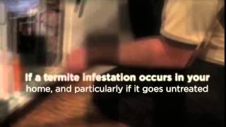 Oklahoma City Termite Extermination - Reliance Pest Solutions
