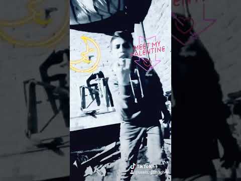 نعم يا باشا