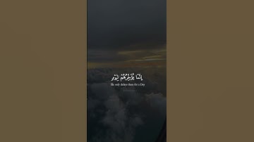 Surah Ibrahim (42-43) |القارئ- عبد الرحمن مسعد#quran#عبد الرحمن مسعد