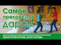 💚 ОЧЕНЬ интересный рассказ | Самое прекрасное - даром ❤️❤️❤️