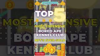 Bored Ape Kennel Club NFTs - 💰Top 5 Most Expensive Ever Sold! BAKC
