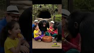 आशा और धर्म चिड़िया घर में 62 | #shorts #reel #short #zoo #minivlogs