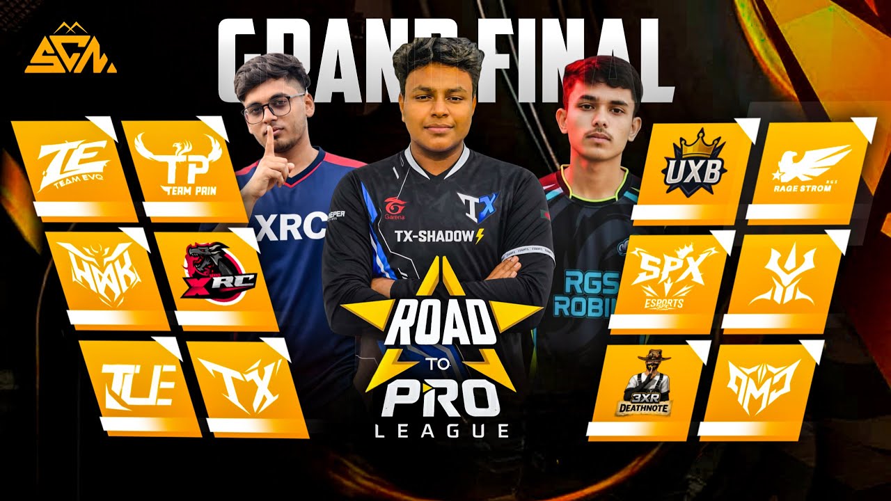 [LIVE 🔴] GRAND FINAL || ROAD TO PRO LEAGUE || PRESENTED BY SCN E-sports ...