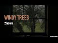 Windy thunderstorm trees blowing   2 hours rain sounds for sleep study  relaxation