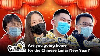 Voxpop: Are you going home for the Chinese New Year?