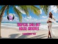 Tropical Chillout House Grooves 🌴 1 Hour Sunset Mix