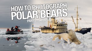 Polar Bears in Summertime - How to get closer? by Roie Galitz 1,968 views 4 years ago 13 minutes, 41 seconds