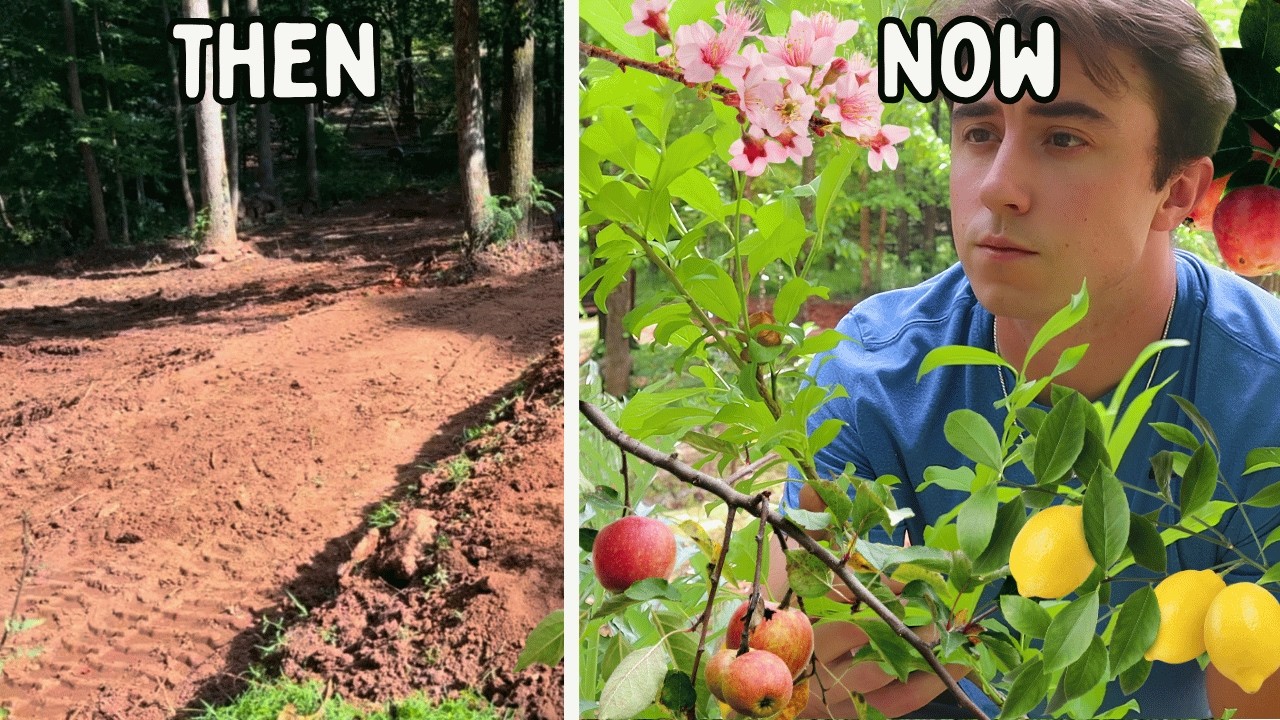 Turning My Yard Into an EDIBLE Oasis!🍋🍏🍒🍑 (One Year Update)