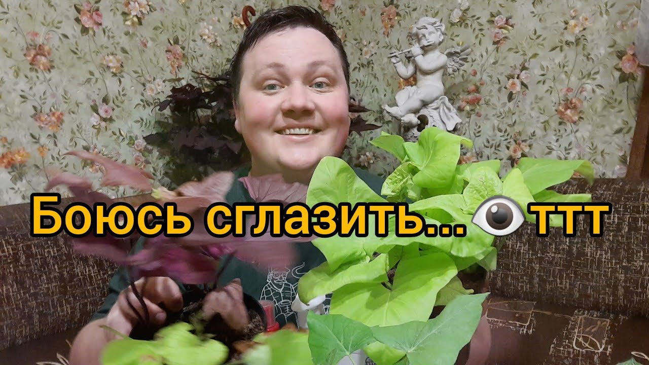 Борис Борисов Цветовод Новые Видео 2022 Года Борис Борисов Цветовод Новые Видео 2022 Года
