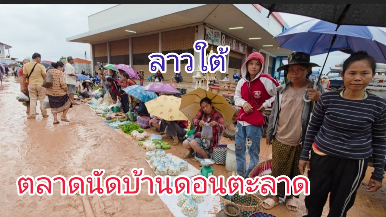 #เที่ยวลาวใต้ ตลาดนัดในฤดูฝน #วิถีชาวบ้าน หารายได้ #อาหารตามฤดูกาลเห็ดหอ กบ ปลา#food #สาวลาว #สปปลาว