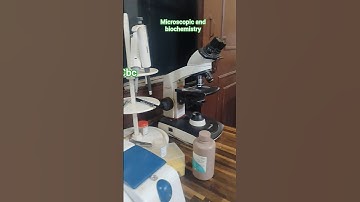 lab 🧪 video microscopic 🦋🧪,,,,,,,,,,#microbiology #microscope #test #lab
