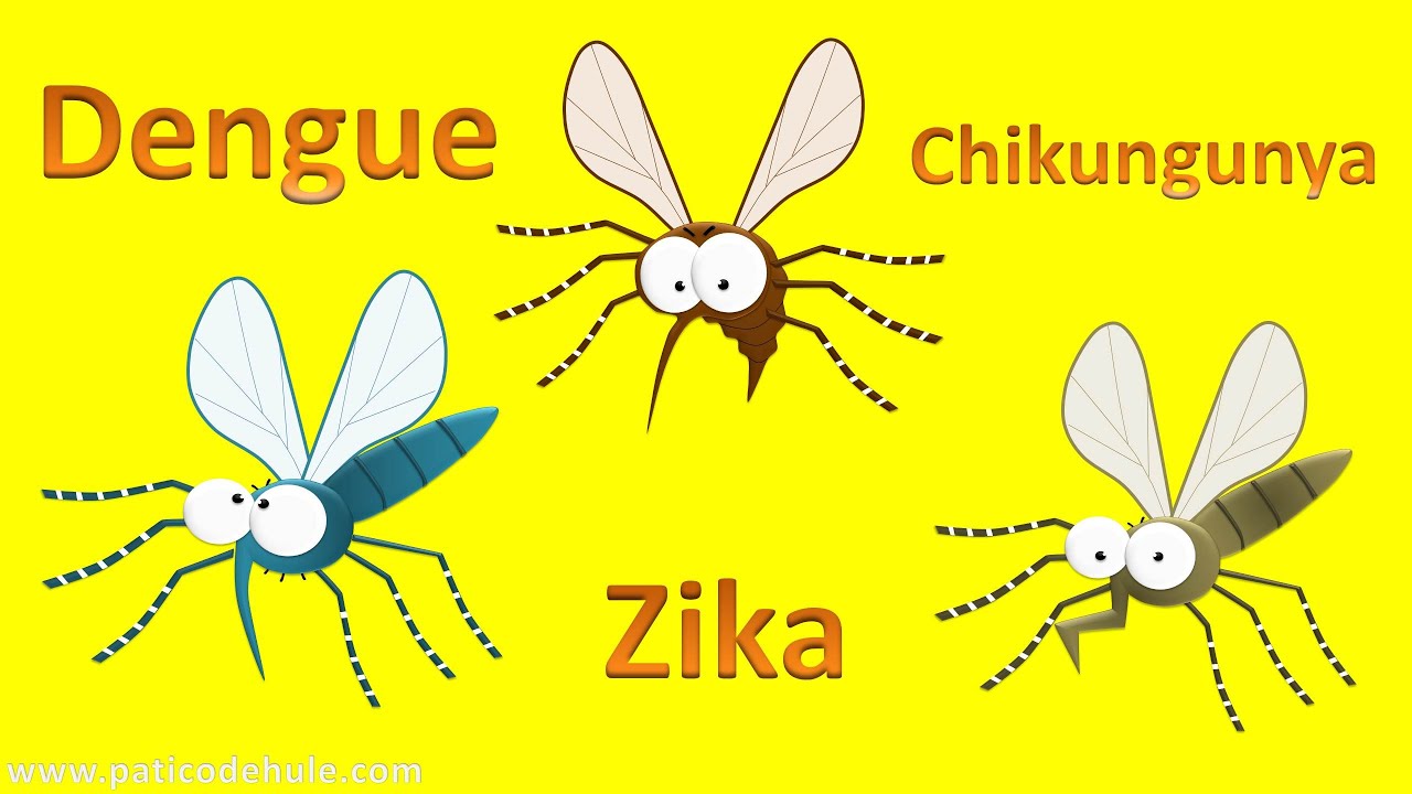 Zika, Dengue y Chikungunya para niños - Paco el cocodrilo al que no le  importaban los mosquitos - thptnganamst.edu.vn