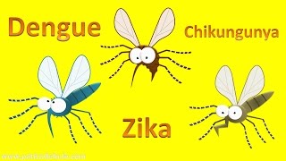 Zika, Dengue y Chikungunya para niños  - Paco el cocodrilo al que no le importaban los mosquitos