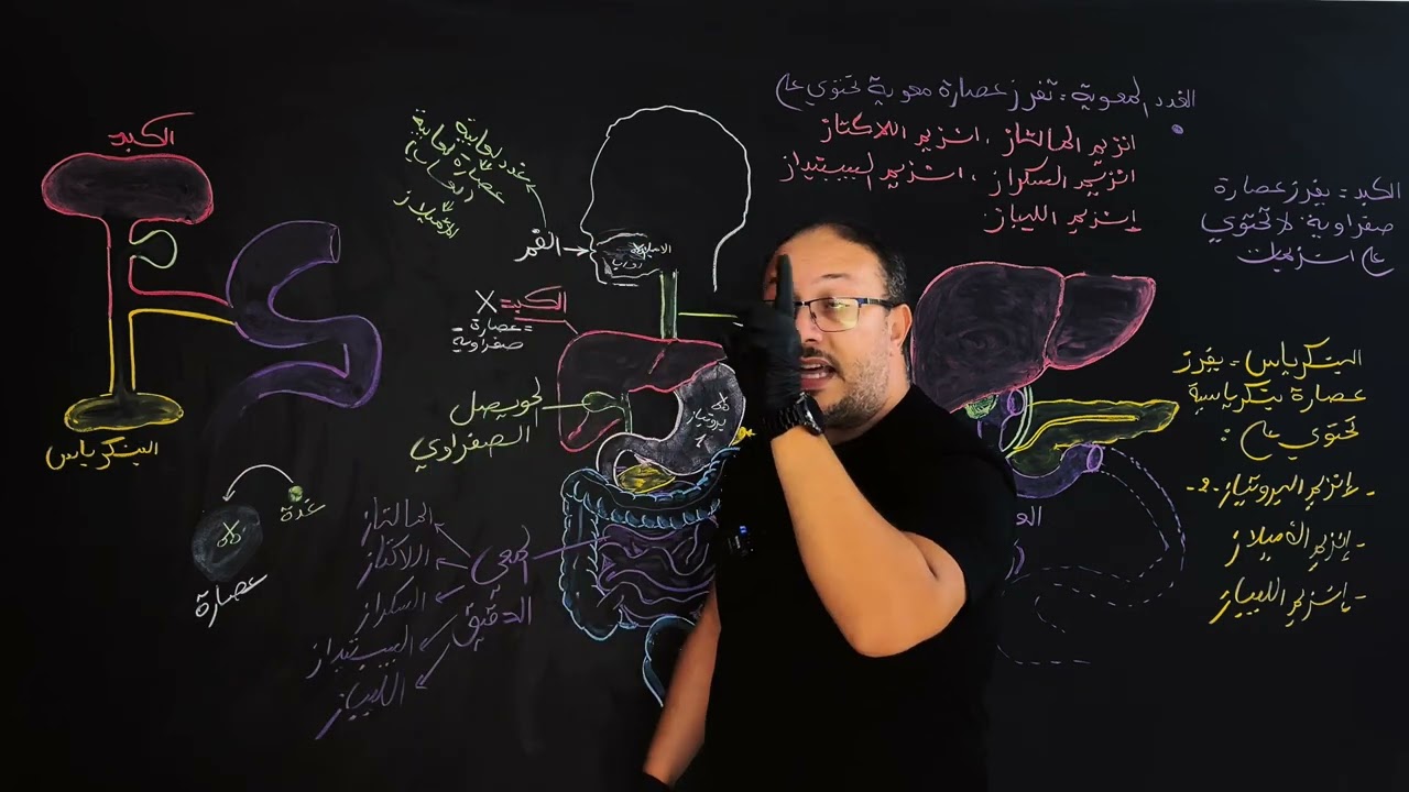 ملخص العصارات و الانزيمات