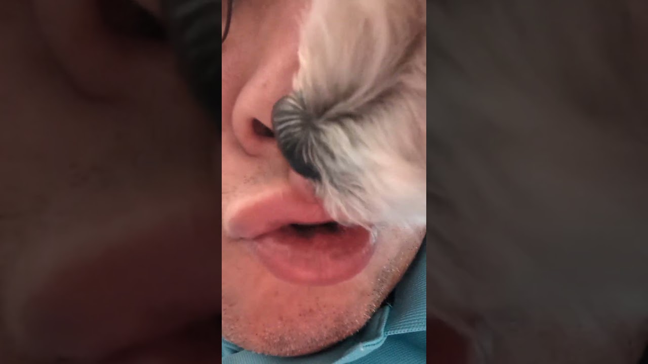 nasal decongestant | dog lick nose ASMR