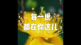 201510 每一世都在你这儿21142